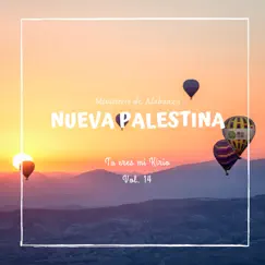Ministerio de Alabanza Nueva Palestina, Vol. 14: Tu Eres Mi Kirio by M.A.A. Nueva Palestina album reviews, ratings, credits