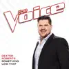 Something Like That (The Voice Performance) - Single album lyrics, reviews, download