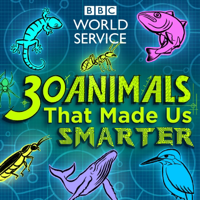podcast cover