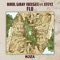Flu (feat. Efeyz) - Birol Giray lyrics