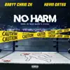 Stream & download No Harm - Single