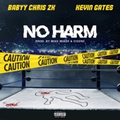 Babyy Chris 2K, Kevin Gates - No Harm