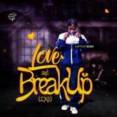 Love and Breakup (L.A.B) artwork