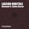 Stream & download Liaison Orbitale (feat. Salma Baccar) - Single