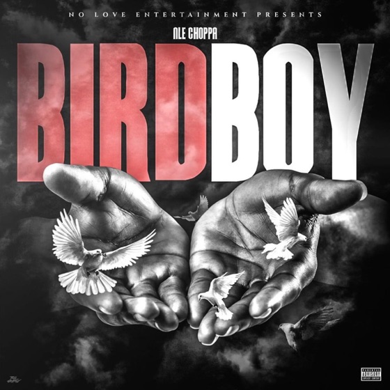 Cover artwork for Birdboy