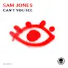 Stream & download Can’t You See - Single