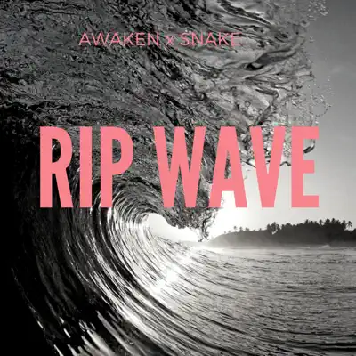 Rip Wave - Single - Awaken