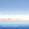 Janice Faber - Closer to Home