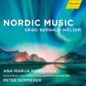Nordic Music artwork