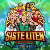 Siste Liten 2020 (feat. Siste Liten) artwork