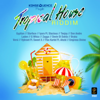 Various Artists - Tropical House Riddim artwork