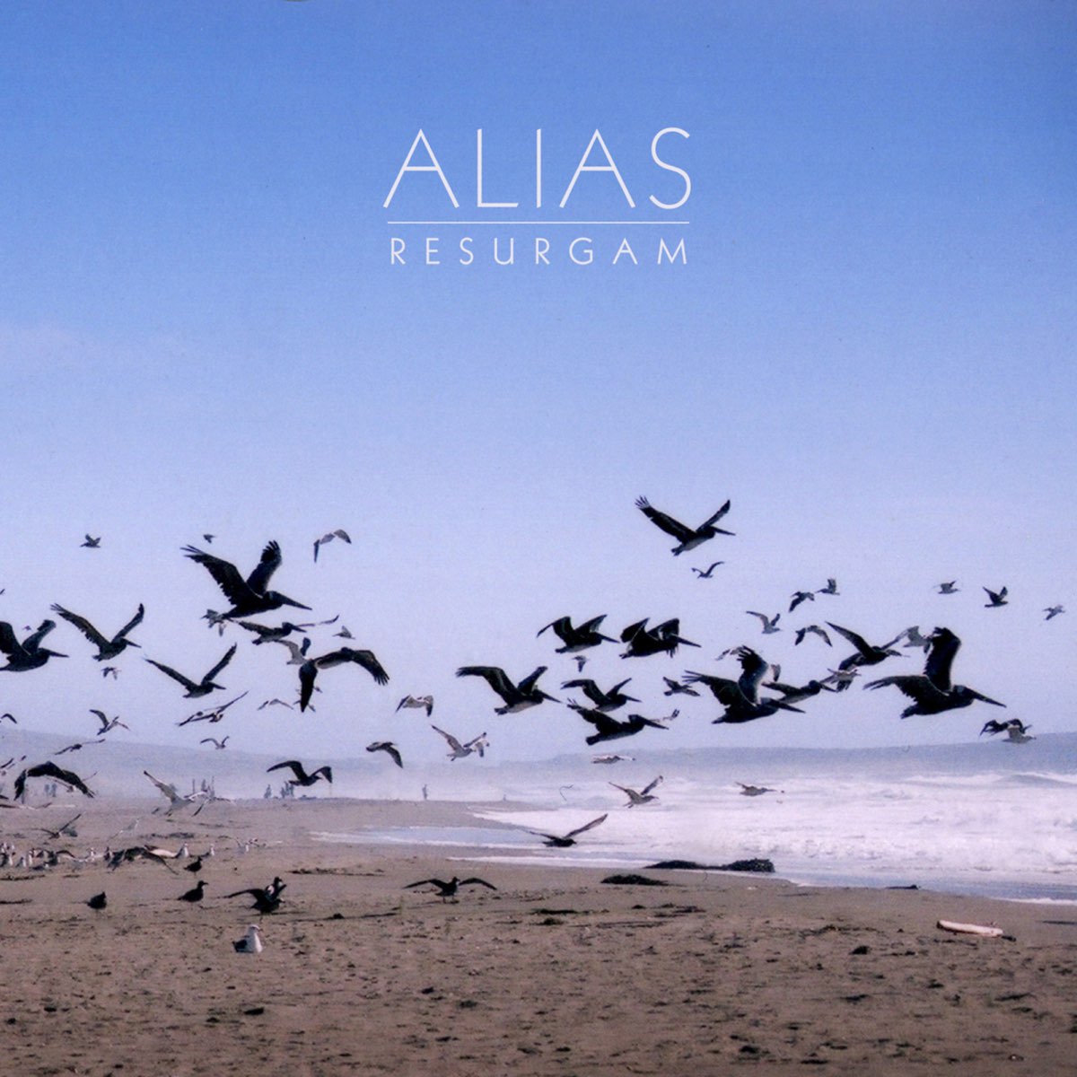 ‎Apple Music에서 감상하는 Alias의 Resurgam
