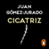 Juan Gómez-Jurado - Cicatriz