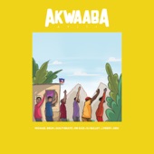 Akwaaba Ayiti (feat. DJ Bullet, J. Perry & Dro) artwork