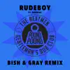 Rudeboy (feat. Gardna) [Bish & Gray Remix] - Single album lyrics, reviews, download
