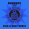 Rudeboy (feat. Gardna) [Bish & Gray Remix] - Single