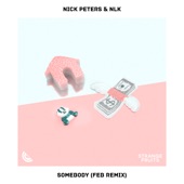 Somebody (Feb Remix) artwork