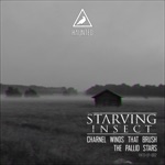 Starving Insect - Pallid Stars