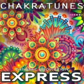 Dynamic Meditation Express artwork