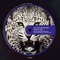 Dancing Minds - Allans Marquez lyrics