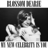 My New Celebrity Is You artwork