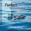Perfect Synchronization album lyrics, reviews, download