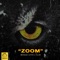 Zoom (feat. Alibi) artwork