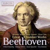 Beethoven: Great Chamber Works artwork
