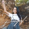 Pingal - Single