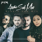 Arabic Sad Mix (feat. Abdel Fattah El Gereny, Nader Nour & Mohamed Hussien) artwork