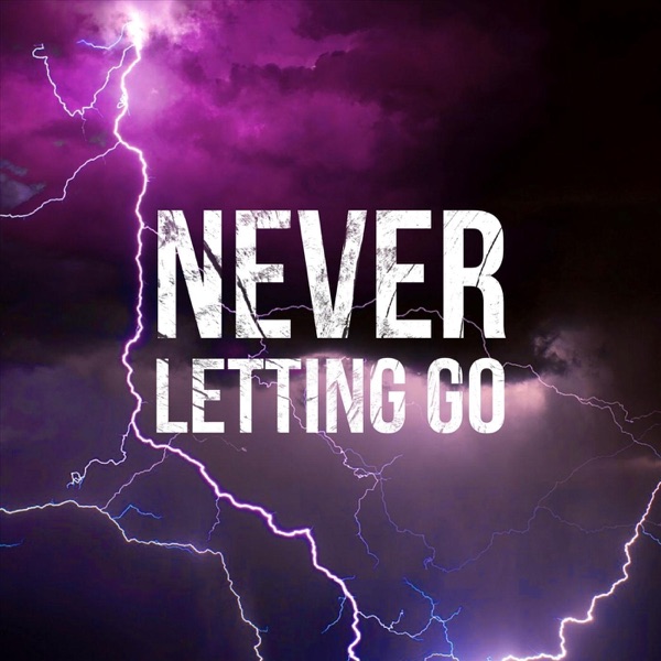 In Our Wake - Never Letting Go [single] (2019)
