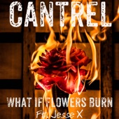 What If Flowers Burn (feat. Jesse X) artwork