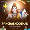 Panchabhoothan