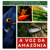 A Voz da Amazônia - Sons Relaxantes da Floresta Tropical com Água Corrente e Animais - Ana Laura Custódio Paraíso