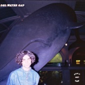 Del Water Gap - Don't Say Nothing