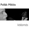 Vallomás - Pollák Miklós lyrics
