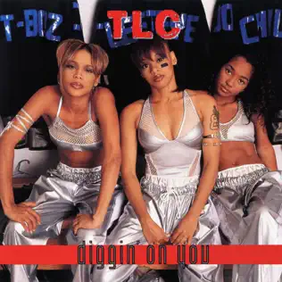 télécharger l'album TLC - Diggin On You Remixes
