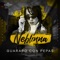 Guarapo Con Pepas (feat. Skpulario) - Neblinna lyrics