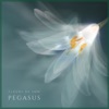 Pegasus - Single