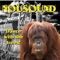 Dance with the Trees - NOUSOUND lyrics