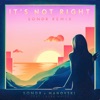 It's Not Right (feat. Laura White) [Sondr Remix] - Single