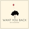 Want You Back - Single