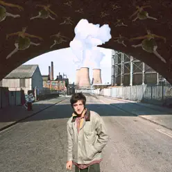 Treated Like Grass - Single - Johnny Franco