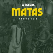 O Rei das Matas (Ao Vivo) artwork