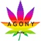 Agony - Joeboy lyrics