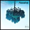 Awake - Single