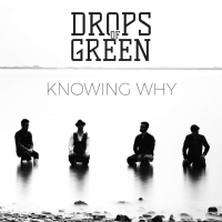Drops of Green - Knowing Why artwork