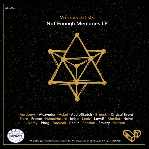 Not Enough Memories Lp by Various Artists