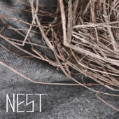 Nest artwork