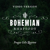 Bohemian Rhapsody (Video Version) artwork